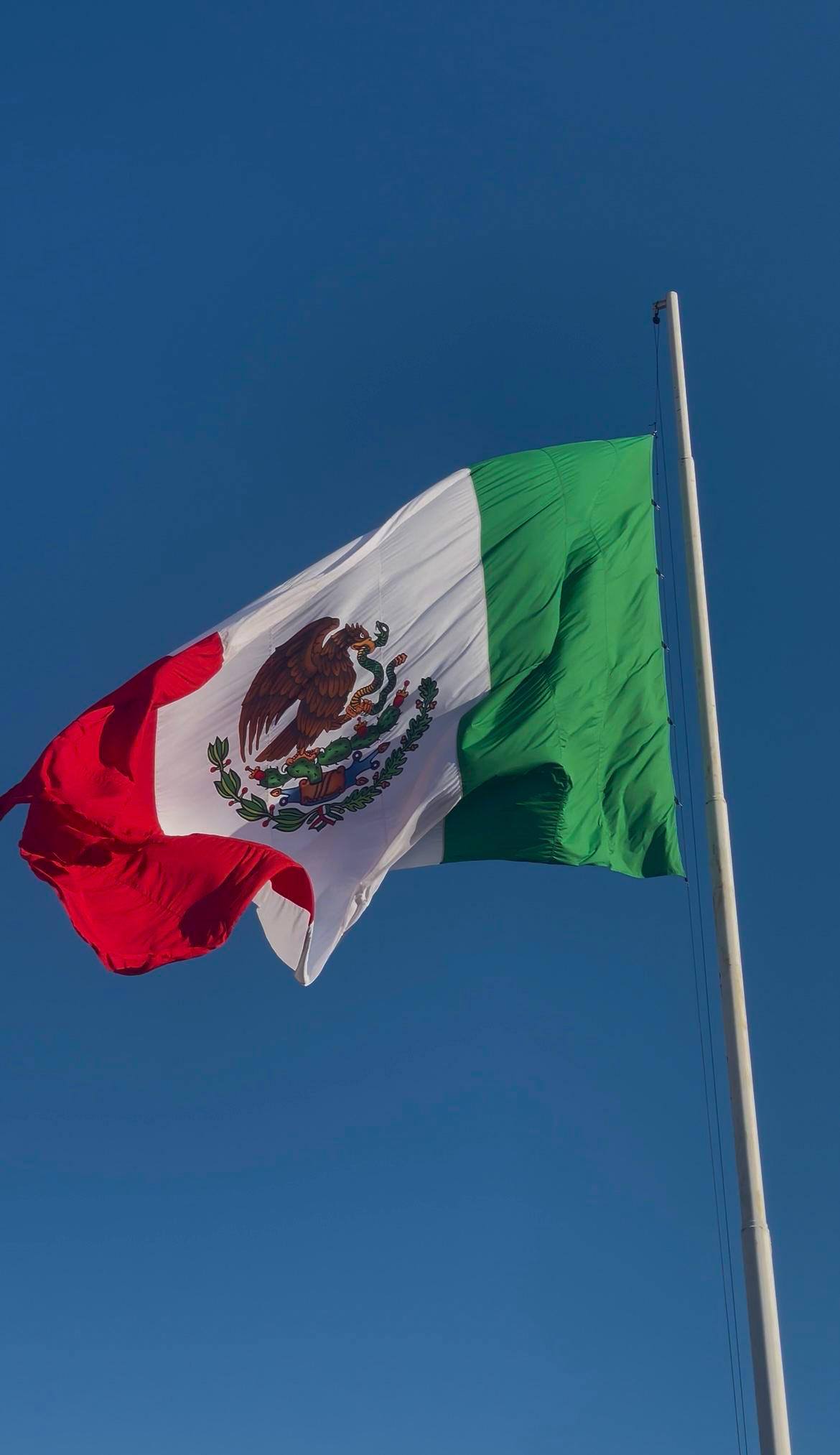 Imagen de Galería del Municipio 5